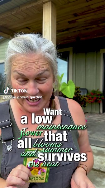 Low-maintenance, heat-loving, and blooming in days 🌸 Moss Rose is the summer flower your garden needs! Tap to shop & start planting today 🛒 #homegarden #summerbeauty #plantshopping #gardenaccessories #gardenmusthaves #raisedgardenbeds #botanicalcollection #gardenbeds #gardeningsupplies #gardenmoms #mossrose #tiktokshop #tiktokshopfinds