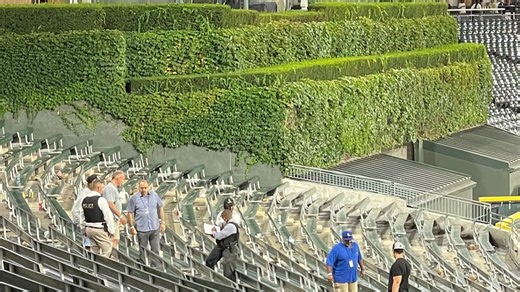 Lawyer for woman wounded in White Sox shooting says she did not bring gun to park