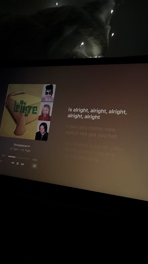 Deceptacon - Le Tigre: Lyrics and Insight