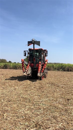 #เซลล์ขายรถ #เกษตรกร #ชาวไร่อ้อย #โรงงานน้ําตาลพิมาย #รถตัดอ้อย