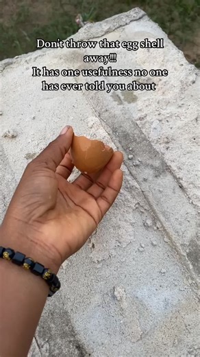 Creative Uses for Eggshells You Didn't Know About