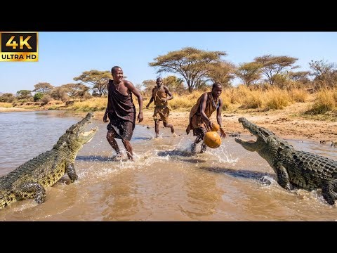 Hadzabe törzs: Vízkigyűjtési stratégiák afrikai krokodilok által lakott folyókban
