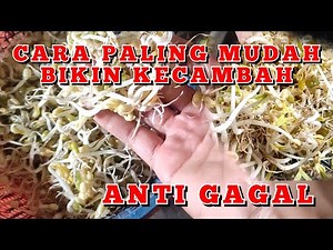 CARA PALING MUDAH MEMBUAT TAUGE/TOGE/KECAMBAH👍