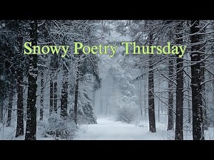 Snowy Poetry Thursday