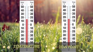 10K views · 51 reactions | What is humidity and why do we hate it? Find the answers in our latest episode of #WeatherWise | The Weather Network | Facebook