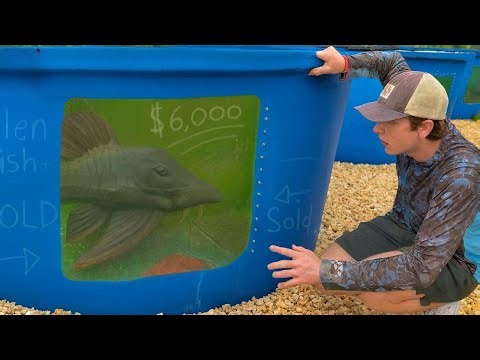 Αγόρασα το πιο ΣΠΑΝΙΟ εξωγήινο ψάρι στον κόσμο!