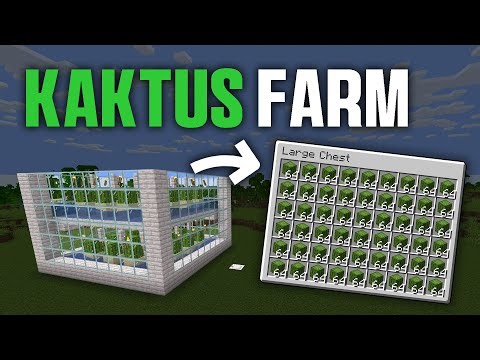 Minecraft 1.21 Einfache AFK Kaktusfarm Tutorial