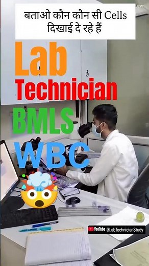 WBC identify #lab #shortvideo #wbcs #wbc