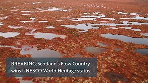 🚨GOOD NEWS: Scotland’s Flow Country wins UNESCO World Heritage status! 🥳 This is huge. Including RSPB Forsinard Flows, the Flow Country is a vital carbon sink and habitat for precious wildlife. It's the first ever peat bog to gain this status, too 🏆 | RSPB