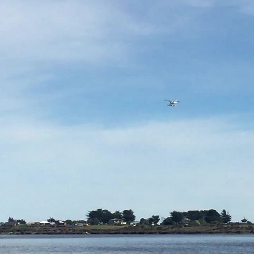 #rcpilot #rcplanes #modelflying #aeromodelling #rcmodel1 #floatplane #