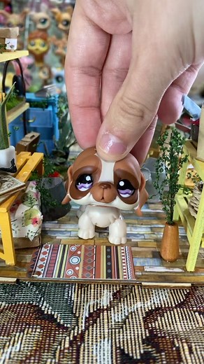 Lps colors of the rainbow check 🌈#lps #littlestpetshop #petshop #toy #littlestpetshopcollection #littlestpetshoptiktok #fyp #cute #dog #zebra #squirrel #cat #fox #hippo #bunny #lpstiktok #rainbow #colorsoftherainbow