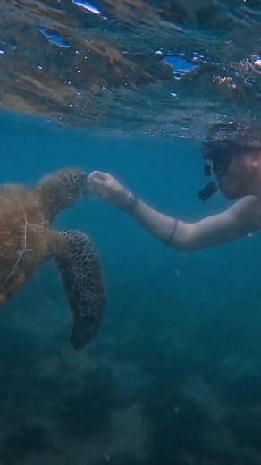 27K views | Enjoy up to 30% OFF with Thema Collection on your next holiday escape. Celebrate the moments with your loved ones at your favourite destination in Sri Lanka. From the misty tea plantations of Nuwara Eliya to the golden beaches of Weligama, ancient wonders of Sigiriya to wildlife adventures in Yala - discover your perfect escape with exclusive resident rates. Check out all offers and select your favorite destination today! #ThemaCollection #Srilanka | Thema Collection | Facebook