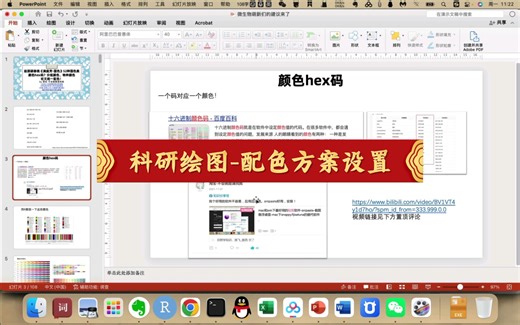科研绘图必会的知识点-颜色设置-颜色hex码-指定配色~