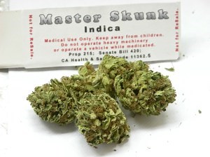 Does Skunk Cannabis Cause Psychosis: Causes and symptoms from smoking skunk marijuana.