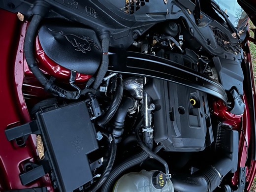 2015-2025 Mustang Strut Tower Covers (set of 2): Pony (choose Logo Color) - Etsy