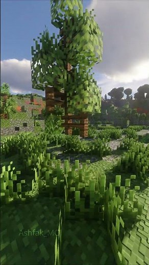 Minecraft Most Beautiful shader to ever exist | iterationT