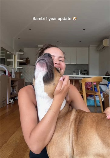 Bambi's 1-Year Rescue Update: A Heartwarming Journey