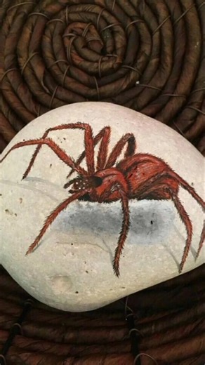 🕷️ DIY Spider Rock Painting | Easy Halloween Rock Art 🎨.