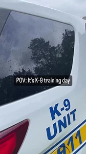 Our recent training event in Jacksonville, FL brought together dedicated handlers and their four-legged partners to master essential techniques in patrol, tracking, area search, building search, detection, obedience, and problem-solving. 🐕💪🔍Thanks again to all who attended! #K9training #skillbuilding #dedicatedhandlers | K9s United