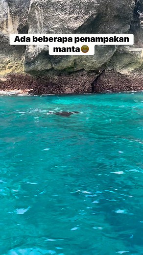 3.5K views · 29 reactions | Manta #manta #fyyyppp @sorotan | Devid Kasehung | Facebook