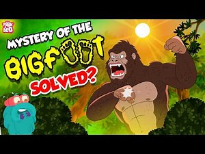 Could BIGFOOT Be Real? 👣 Sasquatch Mystery Solved | Bigfoot Encounters | The Dr. Binocs Show