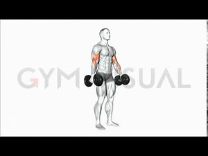 Dumbbell Alternate Biceps Curl