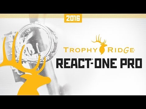 React-One Pro