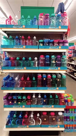Dollar Tree Water Bottles: Cute Finds Under $1!