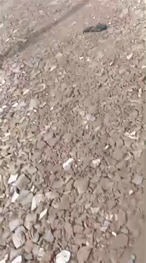 Oworonshoki Coker Community in Disarray As Demolition Resumes. | Oworo Gossips