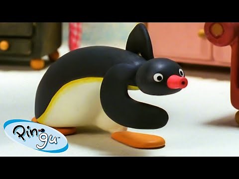 Pingu's Boogaloo 🐧 | Pingu - Official Channel | Cartoons For Kids