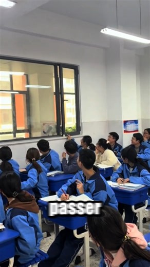 Un chat s'invite par la fenêtre de la classe #fblifestyle | Le Monde des Chats et Chiens