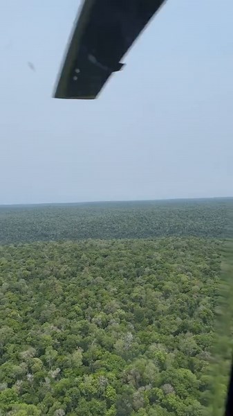 Desfile de Modelos en Público: Bru Luccas