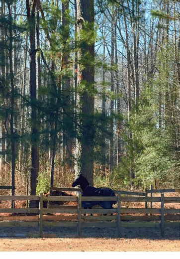 Rancho Galope C. (@rancho.galope)’s videos with sonido original