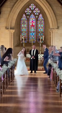 When you're the uninvited guest who really knows how to make an entrance 🦇 #WeddingCrash #UnexpectedGuest #WildlifeEncounters | Animal Wonders