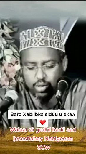 Exploring Somali Political Themes Through Grayscale Imagery