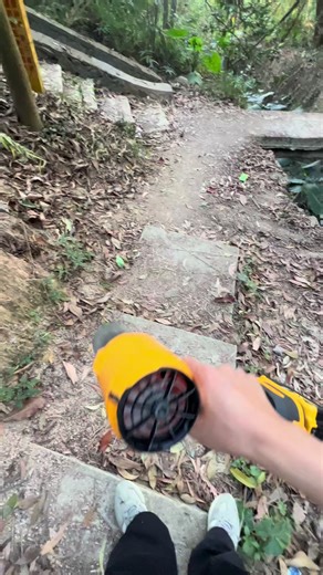 This isn’t just a simple leaf blower—it’s a “Quick Solution Workstation” that can blow away anything. Try it now! #leafblower #dewalttools #outdoor #cleaning #tools