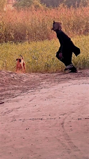 That's a great goal! To give you the best advice for a viral description on Facebook, I need a little more information. A description's effectiveness depends entirely on what it's describing: a post, a photo, a video, a business page, a group, or something else? However, here are the core elements and a general formula for creating a description with the potential to go viral: 5 Keys to a Viral Facebook Description 1. The Powerful Hook (The First 1-3 Lines) The first few lines are the only thing