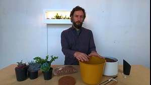 Modern Sprout Uplift Planter - Planter + Stand + Grow Light, White