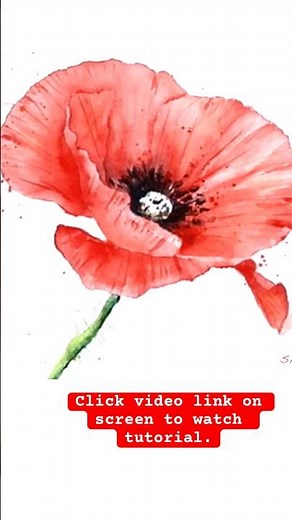 Game changing techniques to paint a poppy in Watercolour #Watercolour #Watercolor