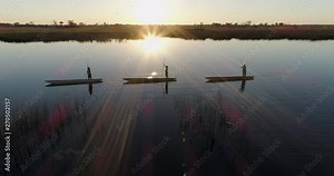 Aerial fly over view of three polers silhouetted against the setting sun rowing their Mokoros on the waterways of the Okavango Delta