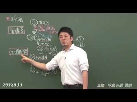 スタディサプリ高校講座 【生物】９０秒でわかる！特別講義　牧島講師