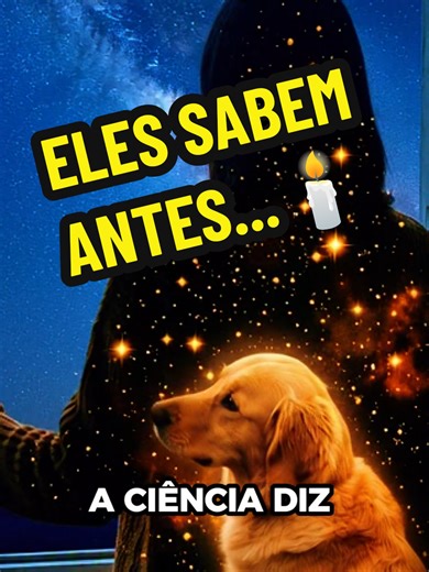 Seu cachorro já uivou ou latiu para o