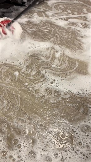 11K views · 376 reactions | September series 﫧 Full bottle of dishsoap! #cleanwithericaa #viral #fyp #mold #CleanTok | Satisfy Scrubs | Facebook