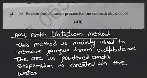 13. (a) Explain froth flotation process for the concentration o... | Filo