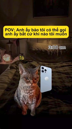 788K views · 10K reactions | Vậy mà bảo gọi lúc nào cũng được 蠟 #dangyeuthenho #cat #cute #food #xuhuong #viral #reels #tiktok #xuhuong2024 #trending #happy #animals #funny #funnycat #fyp | Đáng Yêu Thế Nhở? | Facebook