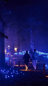 93K views · 2.6K reactions | Esta es tu señal para comprar tus entradas de LightCyclesExperience en CDMX  Sumérgete dentro de cinco instalaciones inmersivas al aire libre que combinan luz, música y arte digital para ofrecerte un recorrido nocturno único que te conecta con la naturaleza. No te lo pierdas, consigue tus boletos y sumérgete en la magia ya. | Light Cycles Experience | Facebook