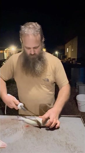 HOW TO FILLET A FISH #howto #fish #catfish #outdoors #shorts #food #fishingtutorial