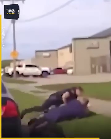 10M views · 56K reactions | We think that police usually have it all covered, but sometimes even the officers need help 凉 youtube.com/@Mrdogpancake | Things You Don't Know | Facebook