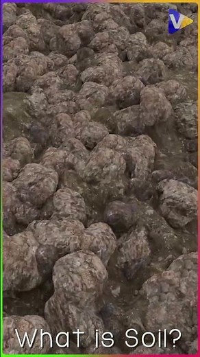 Soil and Its Types | MAJOR SOIL TYPES IN INDIA | Class 10 |