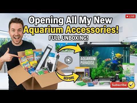 “Fish Tank Accessories Opening & Review” shorts #youtubeshorts #video #fish #unboxing #yt #trending